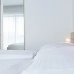 Viva 3*